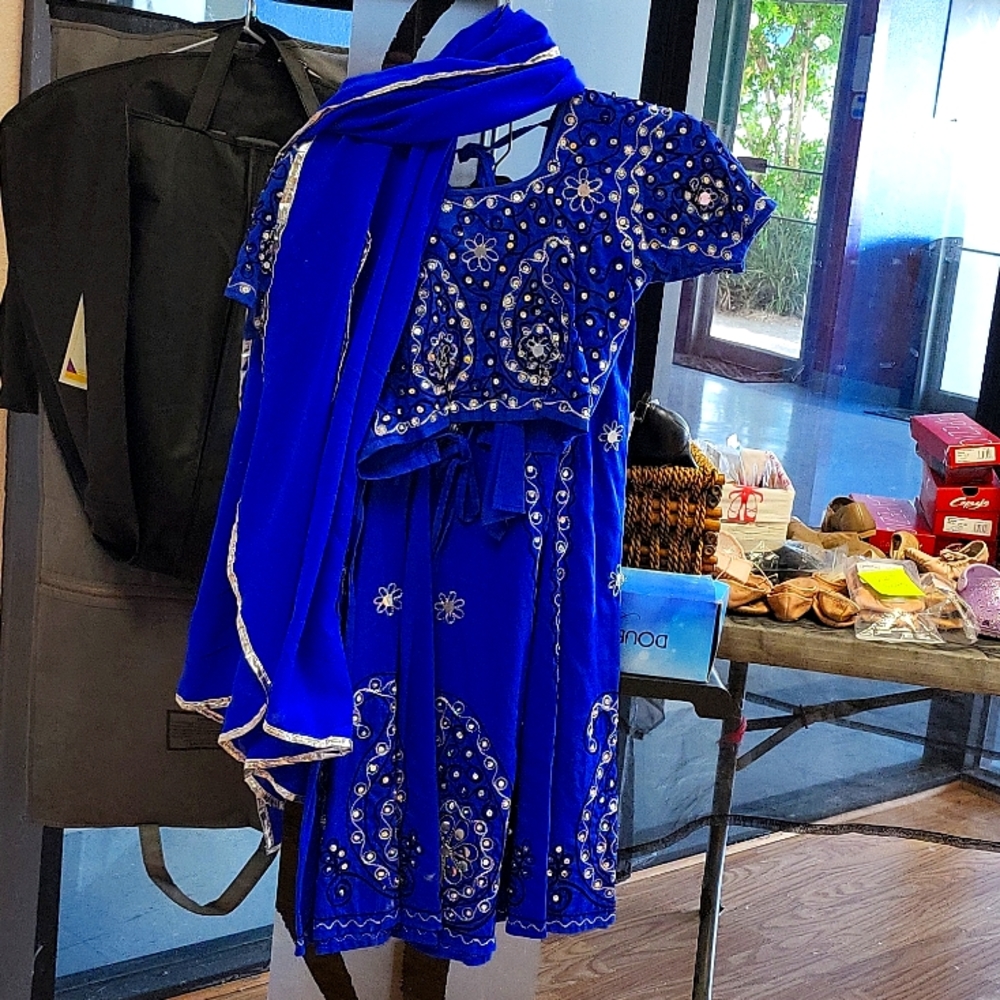 3 piece Belly dance costume